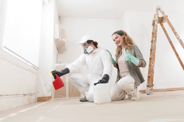 Best Mold Odor Removal Services  in Elmira Heights, NY